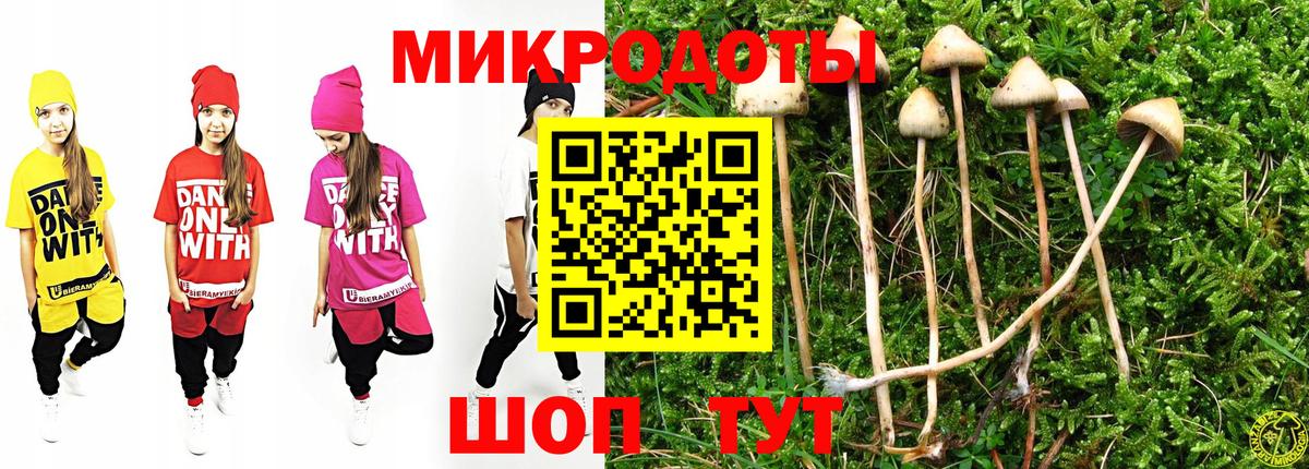 Псилоцибиновые грибы мицелий Бирск